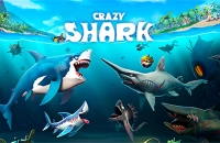 Crazy Shark